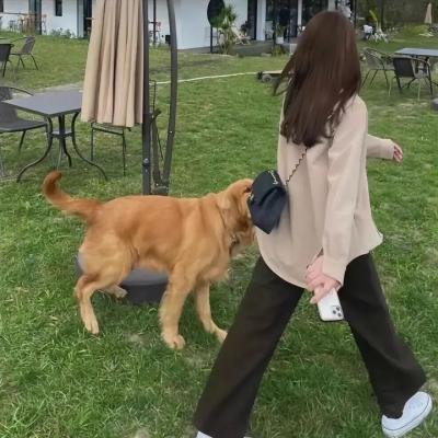 性梦爱三部曲：爱